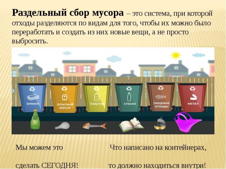 Экологическая встреча